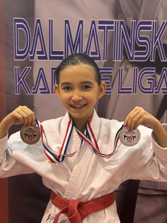 Dalmatinska karate liga