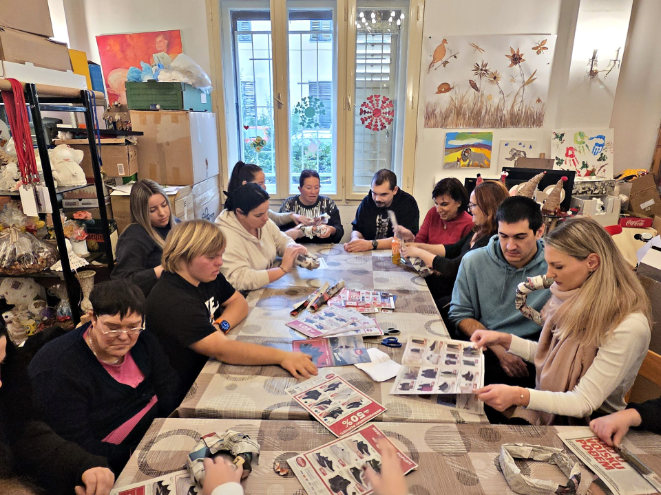 VUŠ-ovi studenti sestrinstva u 'Kamenčićima' upoznali metode rada s osobama s teškoćama