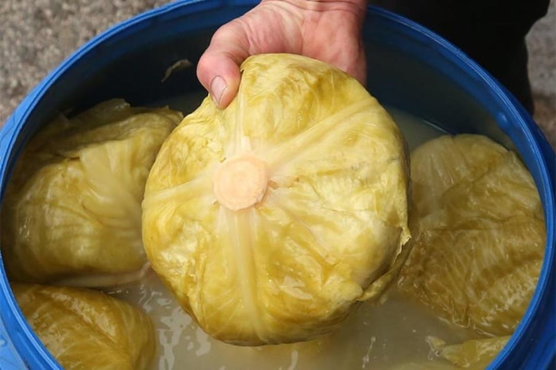 Božić za šibenskim stolom: (A)rambašići, bakalar i uspomene koje traju