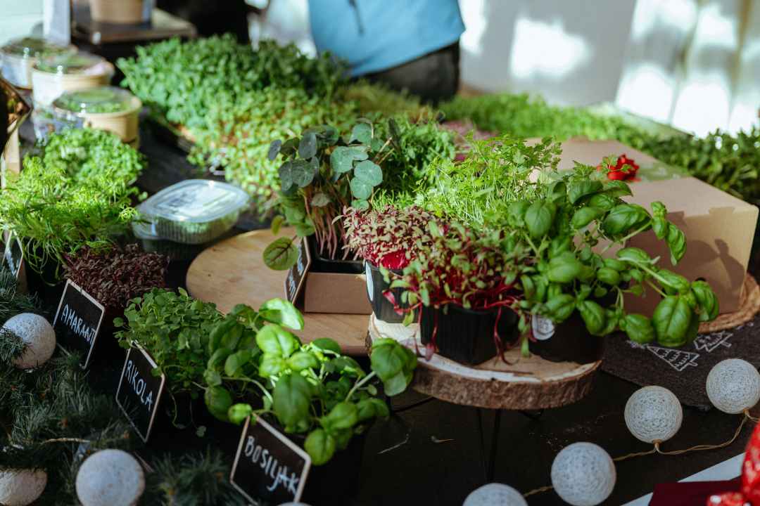 Ajmo lokalno pokreće internet trgovinu