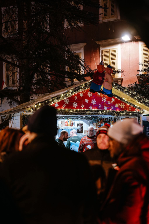 Daleka obala ispunila park: Šibenik plesao uz Deana, Zokija i Jadrana