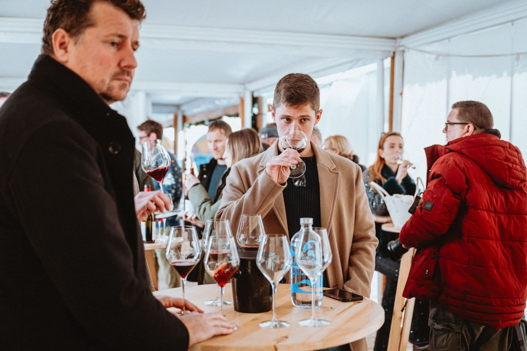 Vina, okusi i tradicija: Manifestacija Vino Dalmacije okupila dalmatinske vinare u Šibeniku