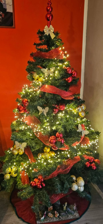 Odluka je pala: Donosimo vam pobjednike izbora najljepše božićne jelke ŠibenikIN-a