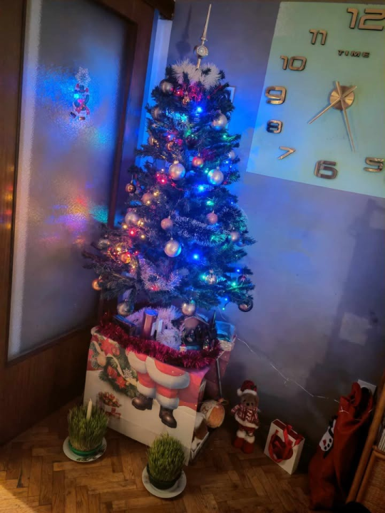 Odluka je pala: Donosimo vam pobjednike izbora najljepše božićne jelke ŠibenikIN-a