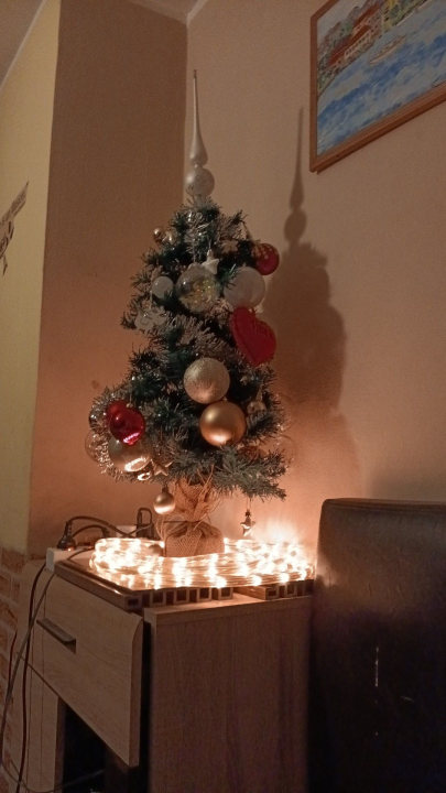 Odluka je pala: Donosimo vam pobjednike izbora najljepše božićne jelke ŠibenikIN-a