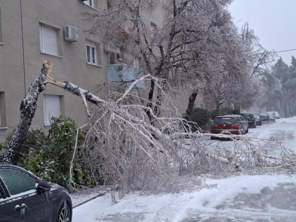 Scene iz zaleđenog Knina: Stablo u Ujevićevoj ulici iščupano iz korijena, električni vodovi prekinuti