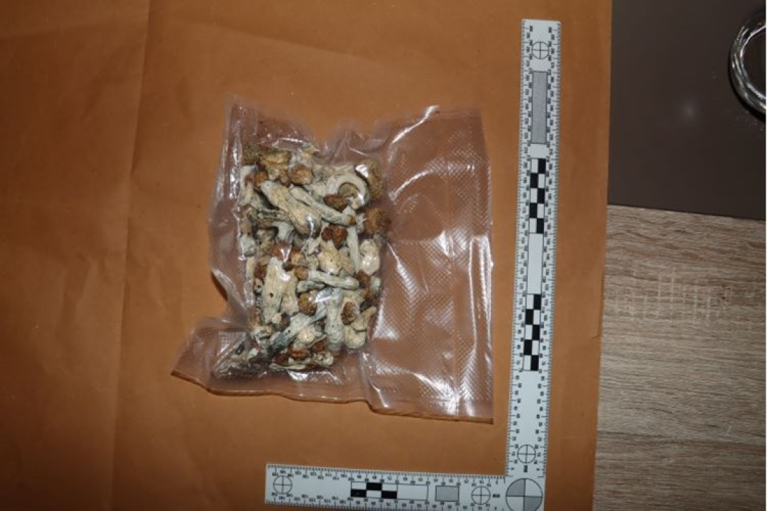 Policija u zagrebačkom stanu našla narko-laboratorij, hrpu droge i - kuburu!