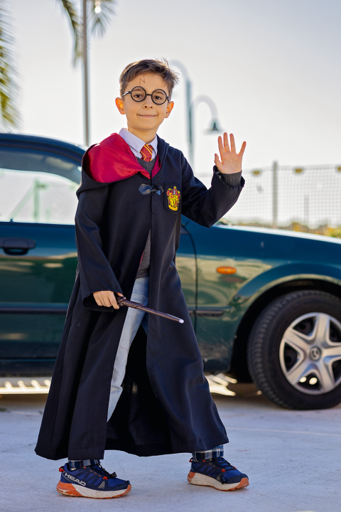 Mašakre u Rogoznici