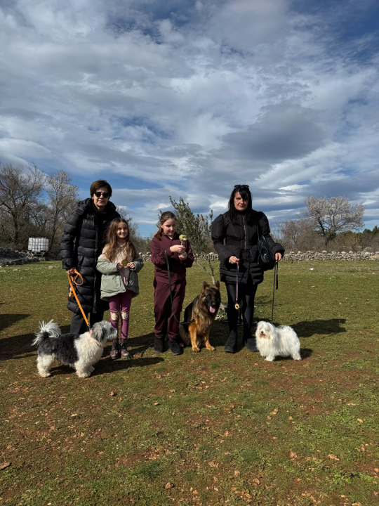 Održano 3. izdanje natjecanja 'Ghetto Dog' u Pokrovniku