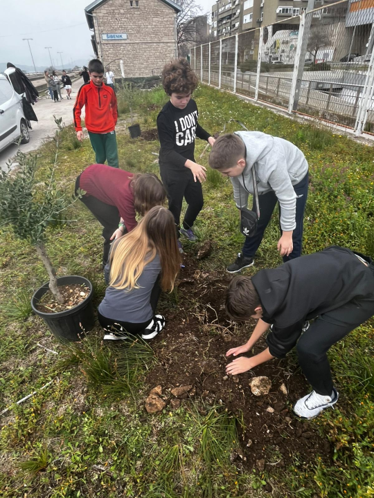  ‘Jedno stablo – jedan dom’