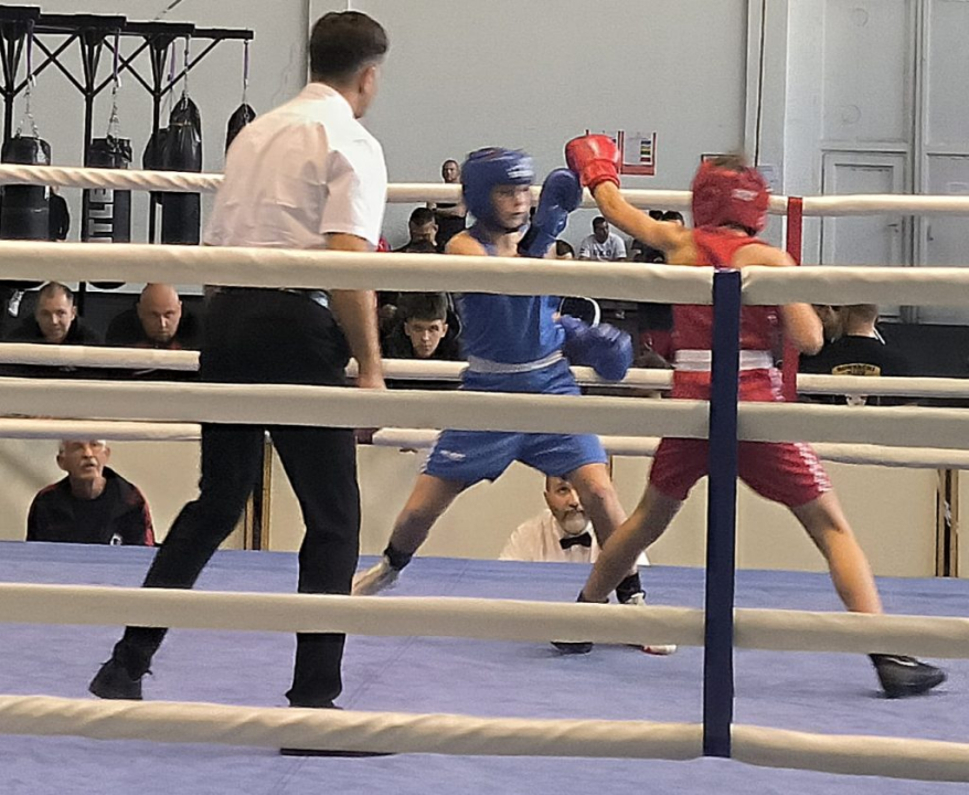 Kninski boksači osvojili tri medalje na Prvenstvu Hrvatske