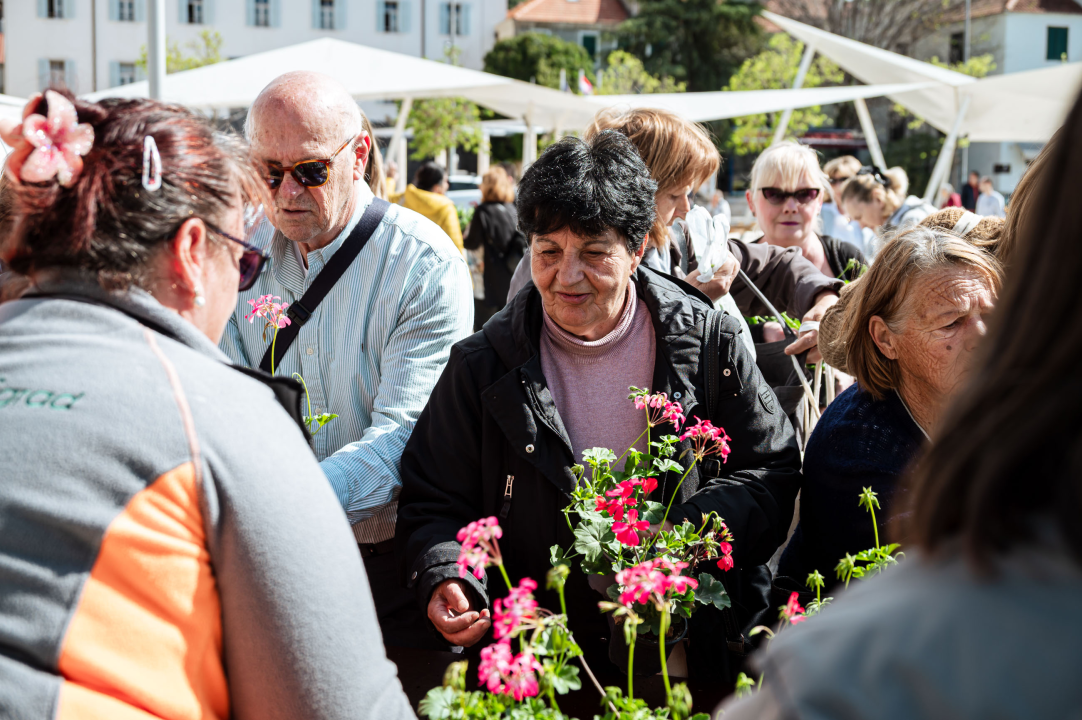 FOTO Građanima na Poljani podijeljeno 2000 sadnica cvijeća, predškolci uživali u edukativnim predstavama