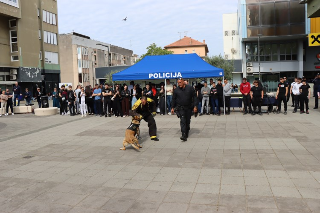 Policija u Šibeniku i Kninu održala Dane otvorenih vrata: Službeni psi Lara i Tigar opet glavne zvijezde