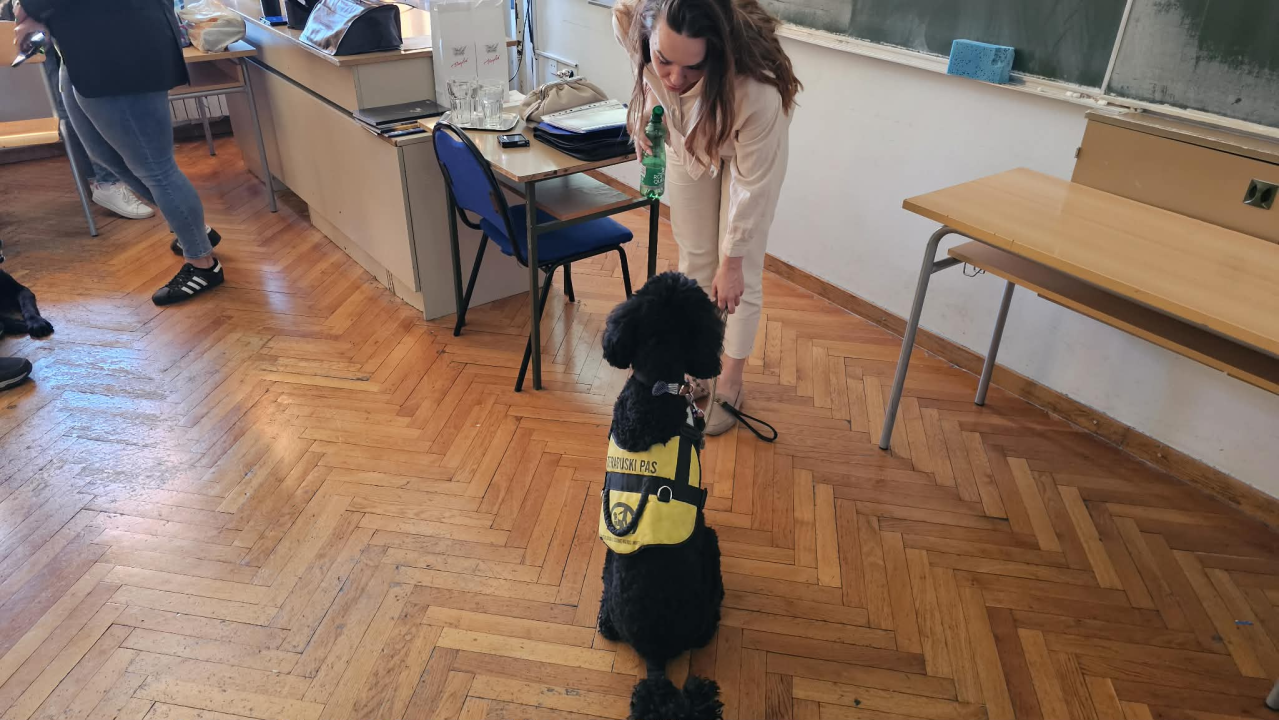 Svjetski dan pasa vodiča