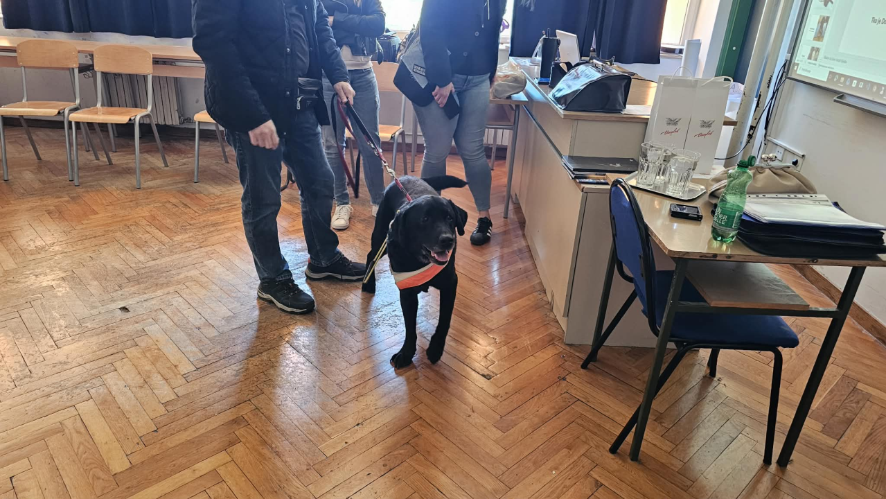 Svjetski dan pasa vodiča