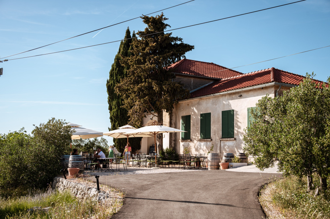 Vikend u znaku vina: Pogledajte kako je bilo na Danima otvorenih kušaonica!