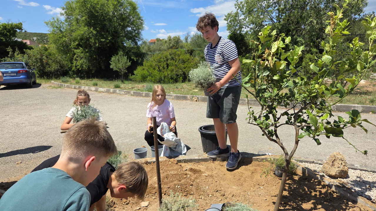 Kreiran školski ekovrt 'Zeleni kutak znanja' u Osnovnoj školi Vjekoslava Kaleba u Tisnom 