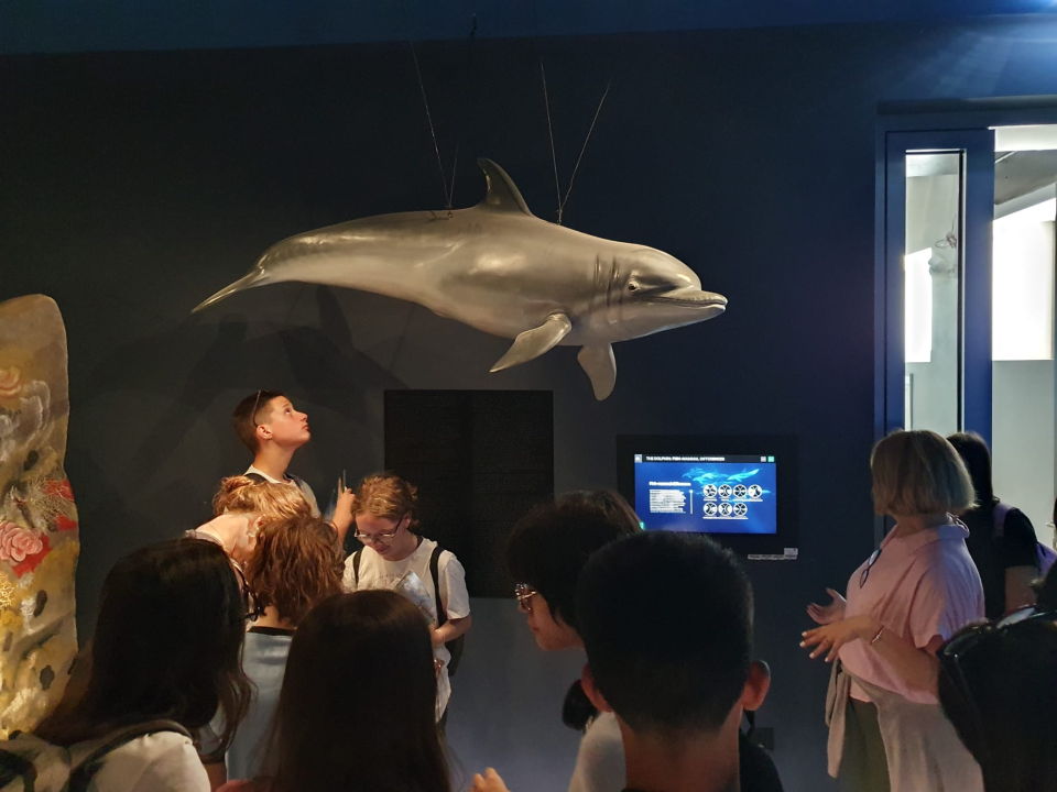 OŠ Juraj Šižgorić ugostila sudionike Erasmus+ projekta SEAFULLNESS
