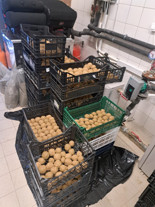 Mališani iz Vodica bacili 750 EM bio-kugli u vodički akvatorij