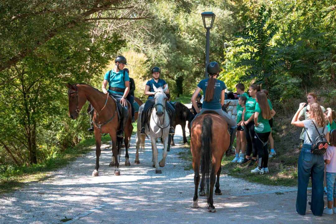 Kad Knin postane velika outdoor pozornica: uspješno završio Dalmatia Šibenik Outdoor Festival!