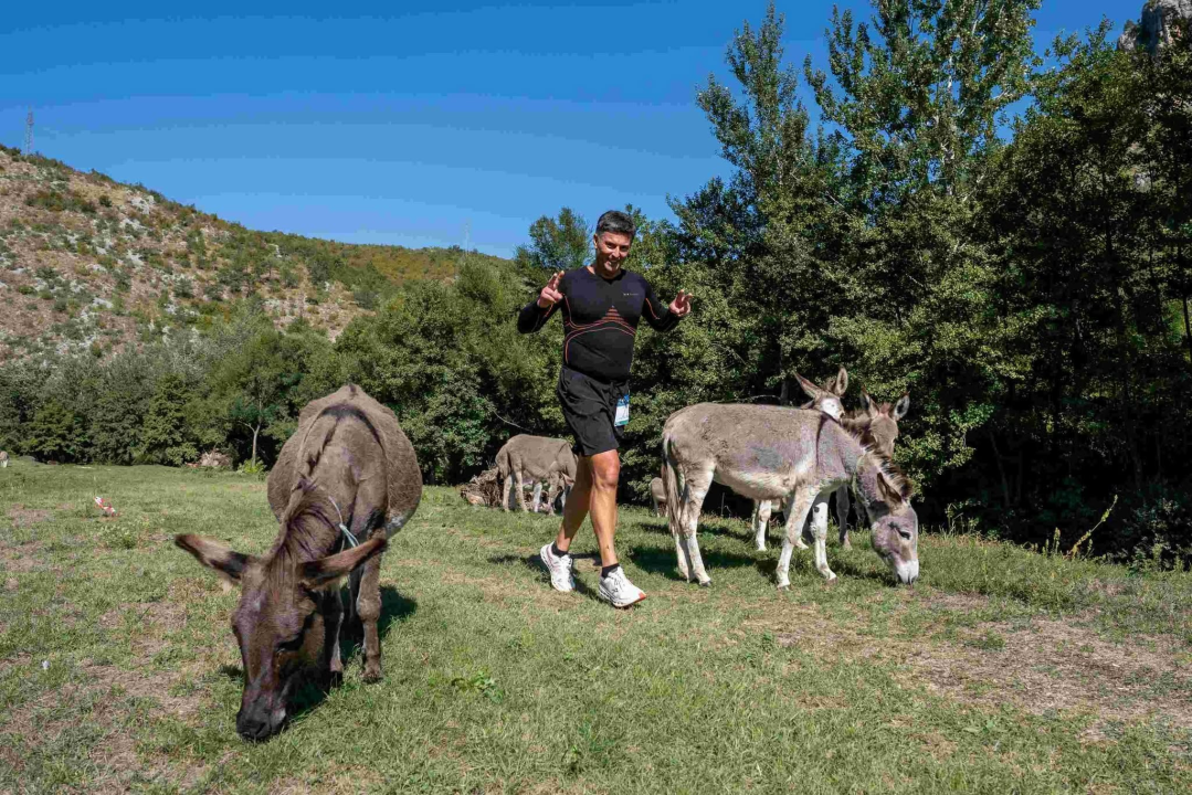 Kad Knin postane velika outdoor pozornica: uspješno završio Dalmatia Šibenik Outdoor Festival!