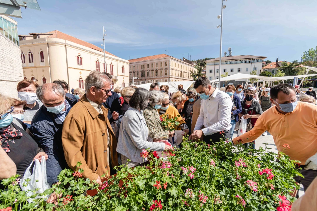 Umirovljenički stampedo za sadnice đirana na Poljani: ‘Gužva je veća za cvijeće nego za cijepljenje’