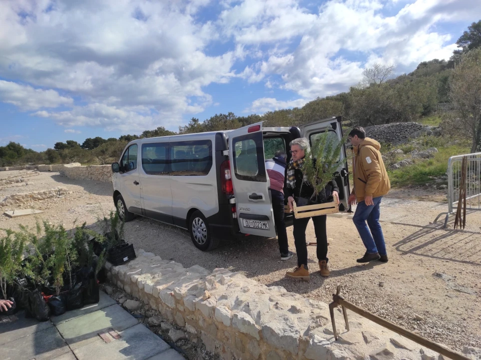 Na arheološkoj plaži Colentum u Murteru zasađeni autohtoni čempresi iz Konavla