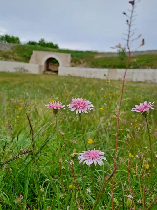 Studenti Turističkog menadžmenta VUŠ-a na terenskoj nastavi u NP Krka