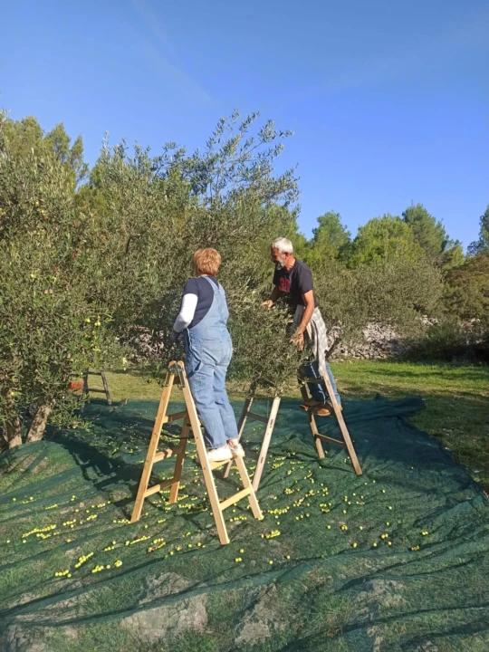 Obitelj Birin stoljećima se bavi poljoprivredom, a danas njihova ulja osvajaju svjetska zlata