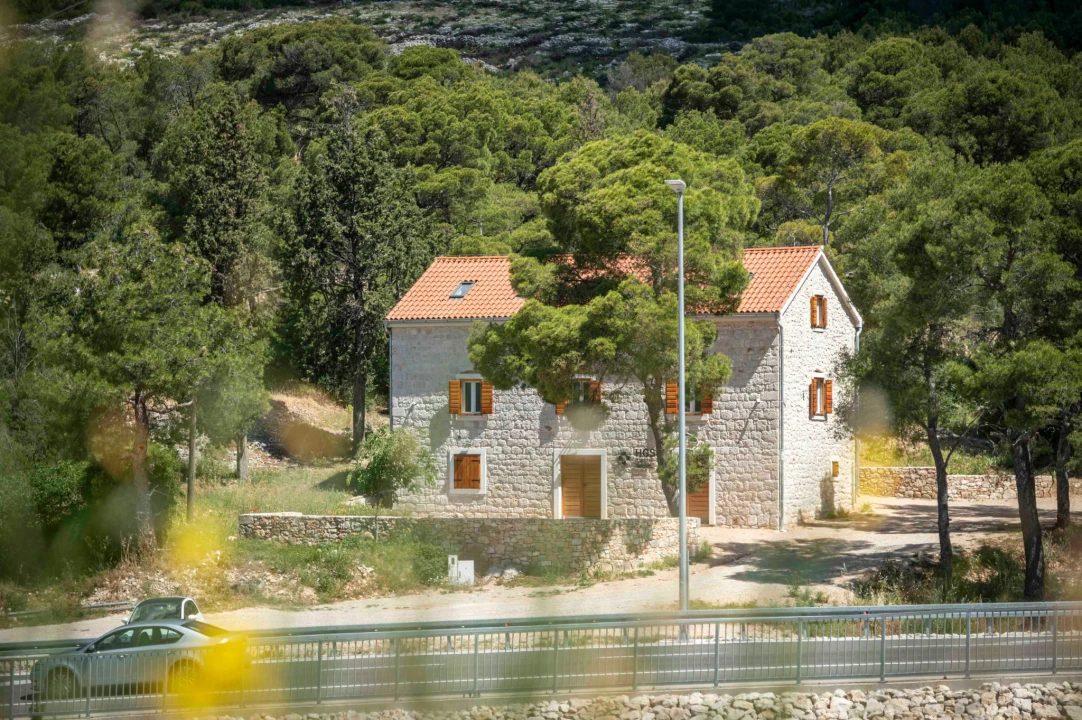 rokici