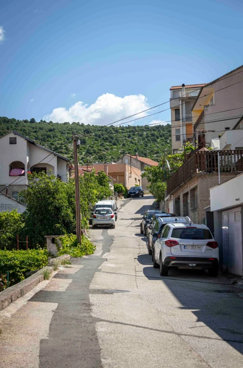 rokici