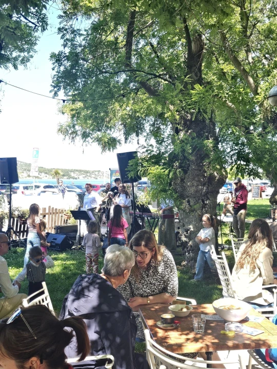 Nacionalni dan udomiteljstva