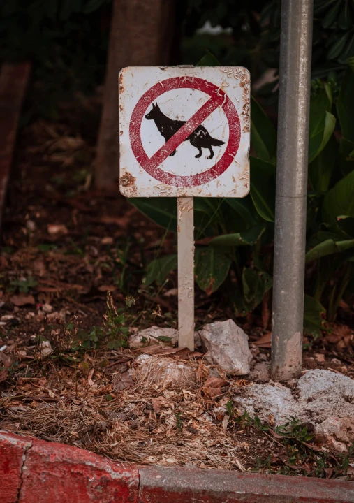 Baldekin 2 i 3: Simbol šibenskog duha, spoj sporta, obrazovanja i sjećanja