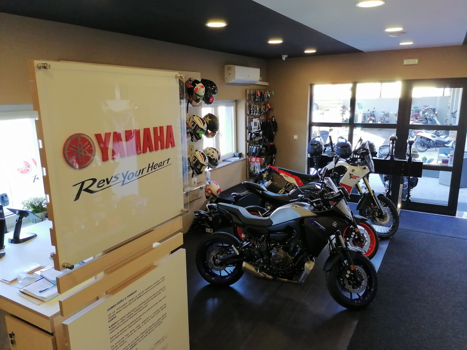 Izaberite nešto baš za sebe iz šarenila cvatnica u Vrtnom centru Dubrava!