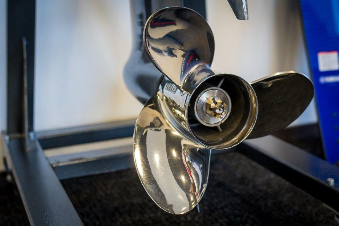 Izaberite nešto baš za sebe iz šarenila cvatnica u Vrtnom centru Dubrava!