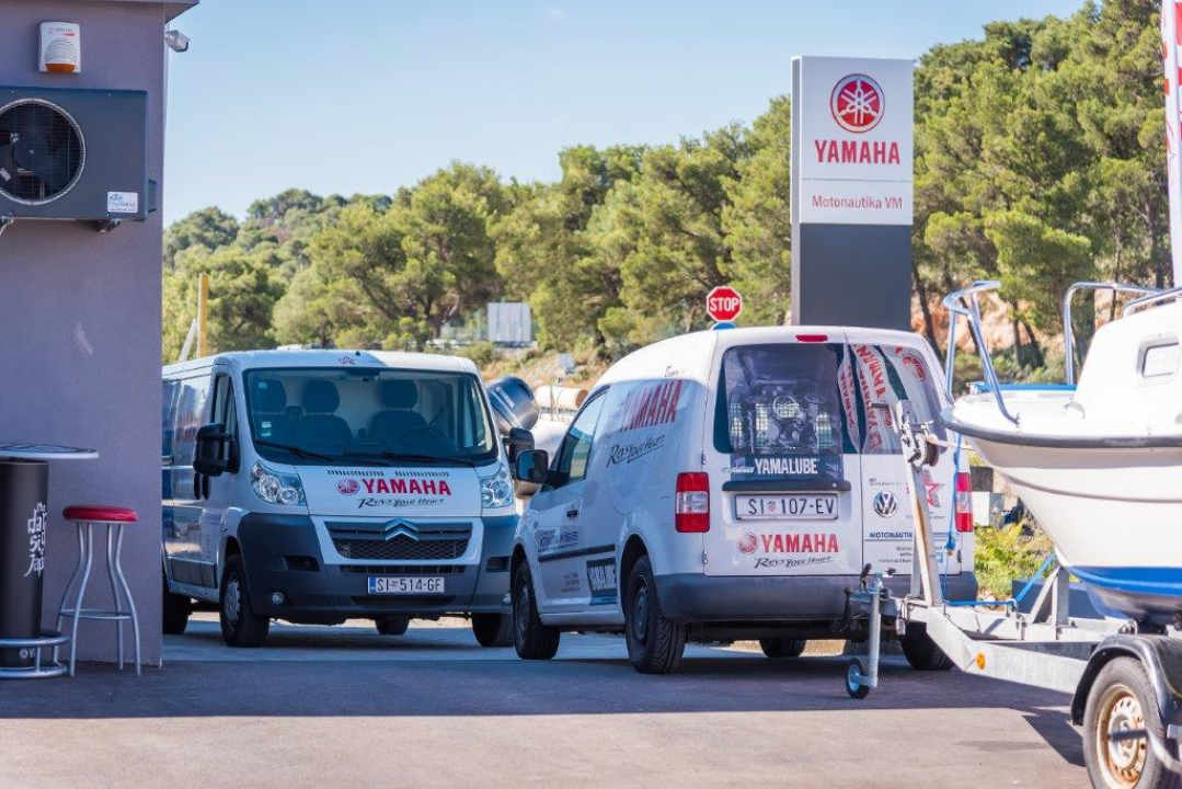 Izaberite nešto baš za sebe iz šarenila cvatnica u Vrtnom centru Dubrava!