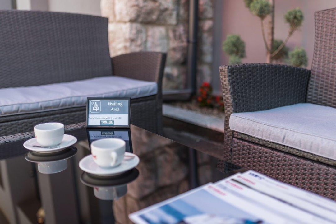 Izaberite nešto baš za sebe iz šarenila cvatnica u Vrtnom centru Dubrava!