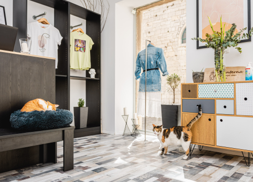 Fotografija 7 - Posjetite Lanterna concept store na novoj lokaciji na Maloj loži!