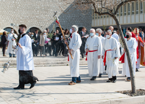 Fotografija 17 - Procesijom, misom i blagoslovom maslinovih grančica Šibenčani proslavili Cvjetnicu