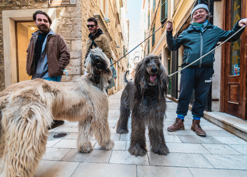 Kuni i Santos oličenje su elegancije i dramatičnosti, ali i jedna od najstarijih pasmina koja je lovila leoparde