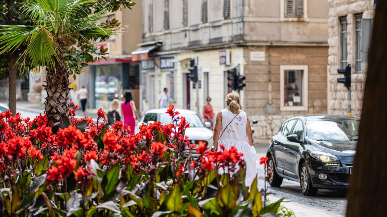 Za šarenije balkone i vrtove: U utorak se na Poljani dijeli dvije tisuće sadnica cvijeća