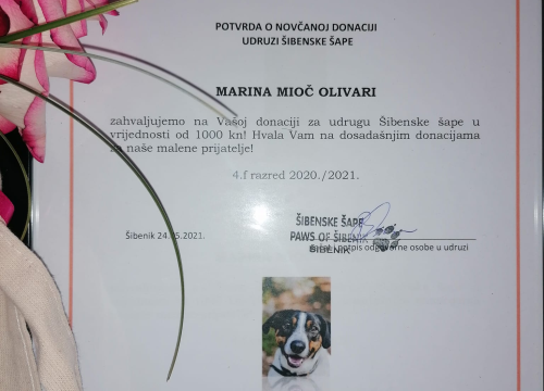 Fotografija 2 - Šibenski gimnazijalci iz 4.f umjesto poklona razrednici donirali tisuću kuna Šibenskim šapama!