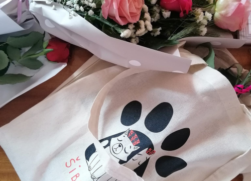 Fotografija 4 - Šibenski gimnazijalci iz 4.f umjesto poklona razrednici donirali tisuću kuna Šibenskim šapama!