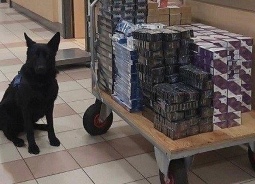 U akciji policije i Uskoka razbijena skupina krijumčara cigareta i duhana