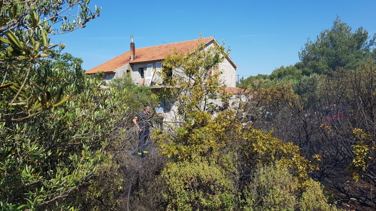 Spaljivanje travi u Brodarici otelo se kontroli: Vatra ipak nije stigla do kuća i borove šume