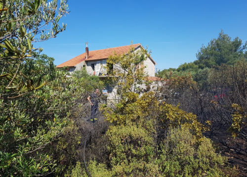 Spaljivanje travi u Brodarici otelo se kontroli: Vatra ipak nije stigla do kuća i borove šume
