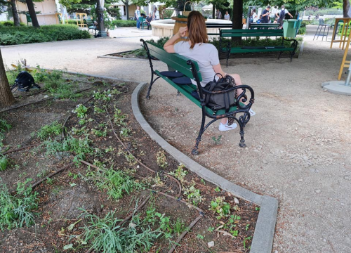Pripazite na cvijeće: Nakon samo jedne večeri zabave u đardinu,  nedavno posađene biljke već su izgažene