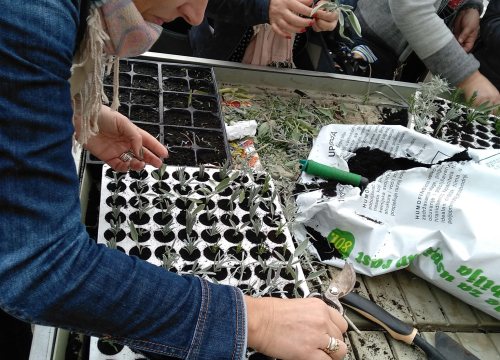 Fotografija 3 - U tijeku je program obrazovanja odraslih u organizaciji Udruge EMEDEA: Pogledajte što su polaznici do sada naučili!