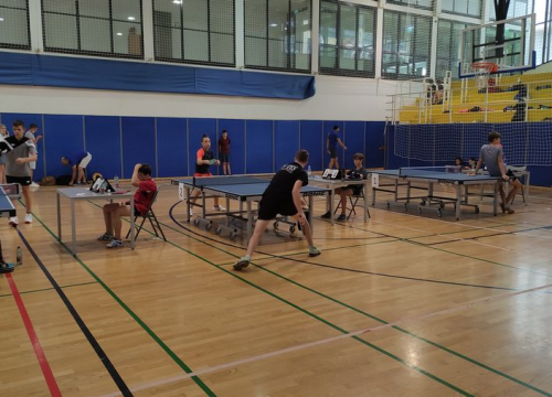 Fotografija 3 - Veliki uspjeh Franke Miškić i Stolnoteniskog kluba Šibenik