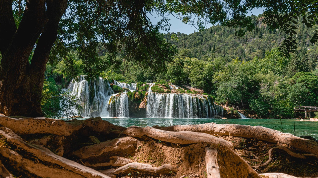Nakon dugo godina strogo zaštićena barska kornjača vratila se na Skradinski buk